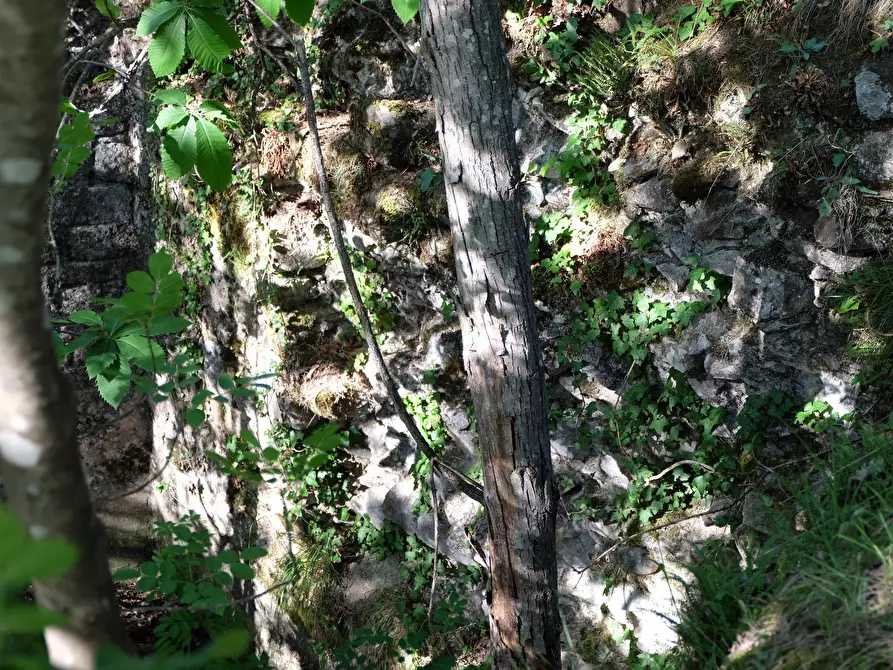 Immagine 10 di Rustico / casale in vendita  in Unnamed Road 13b a Sassello