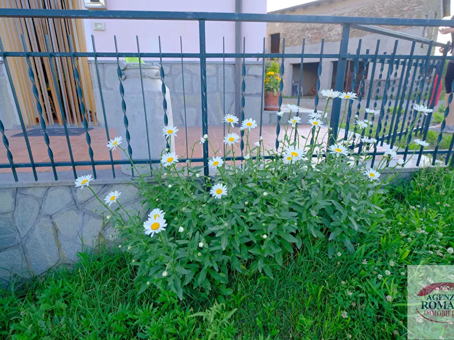 Immagine 31 di Rustico / casale in vendita  a Pareto