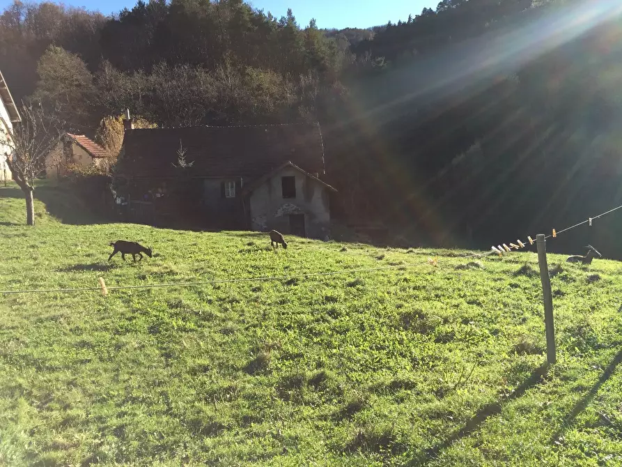 Immagine 6 di Rustico / casale in vendita  a Sassello