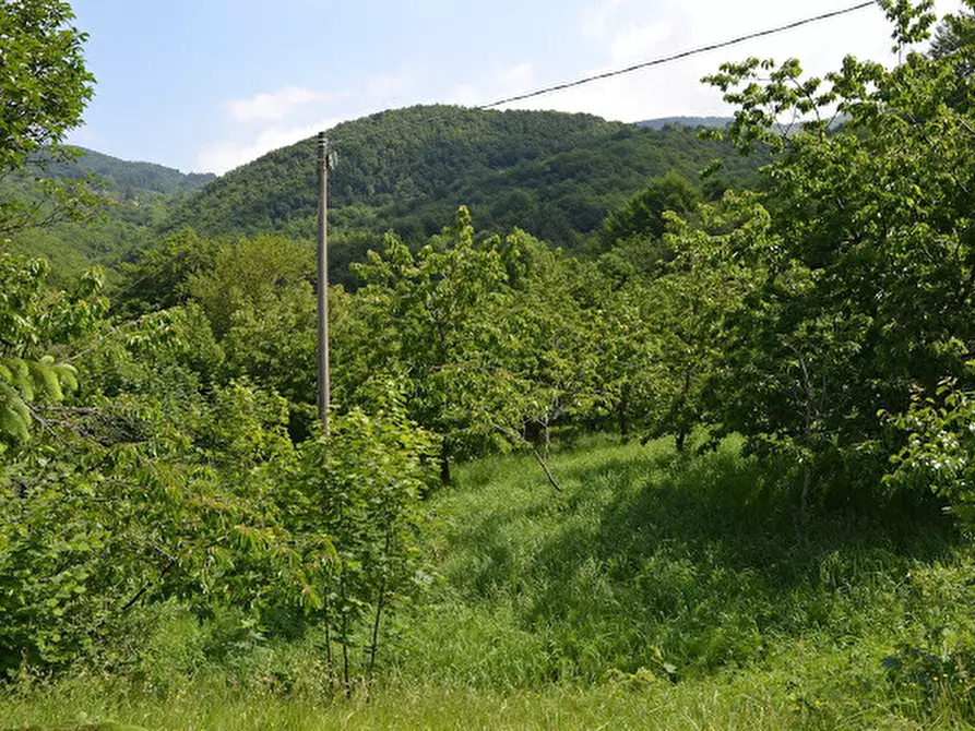 Immagine 41 di Rustico / casale in vendita  in Via Dano a Sassello