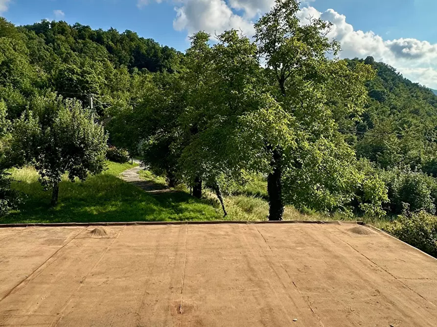 Immagine 26 di Rustico / casale in vendita  in piampaludo a Sassello