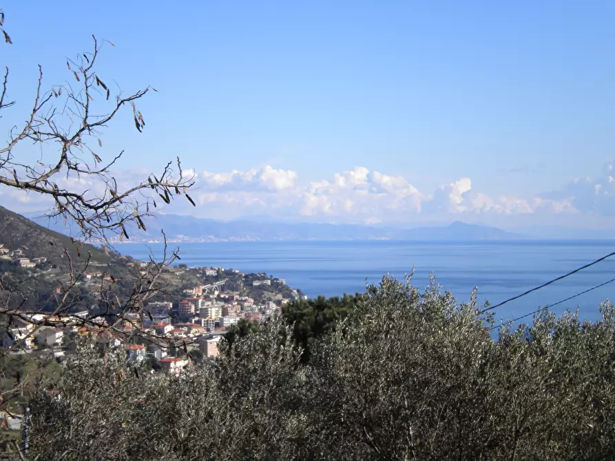 Immagine 6 di Villa in vendita  a Varazze