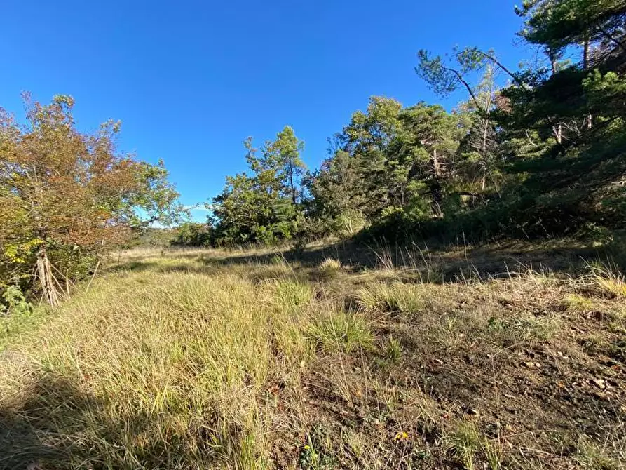 Immagine 11 di Rustico / casale in vendita  in Loc Ormei a Ponzone