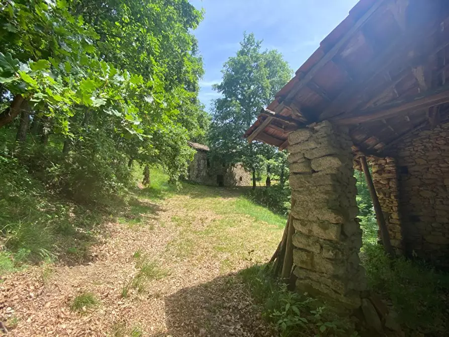 Immagine 6 di Rustico / casale in vendita  a Giusvalla