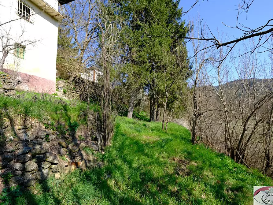 Immagine 34 di Rustico / casale in vendita  in SP216 6 a Pareto