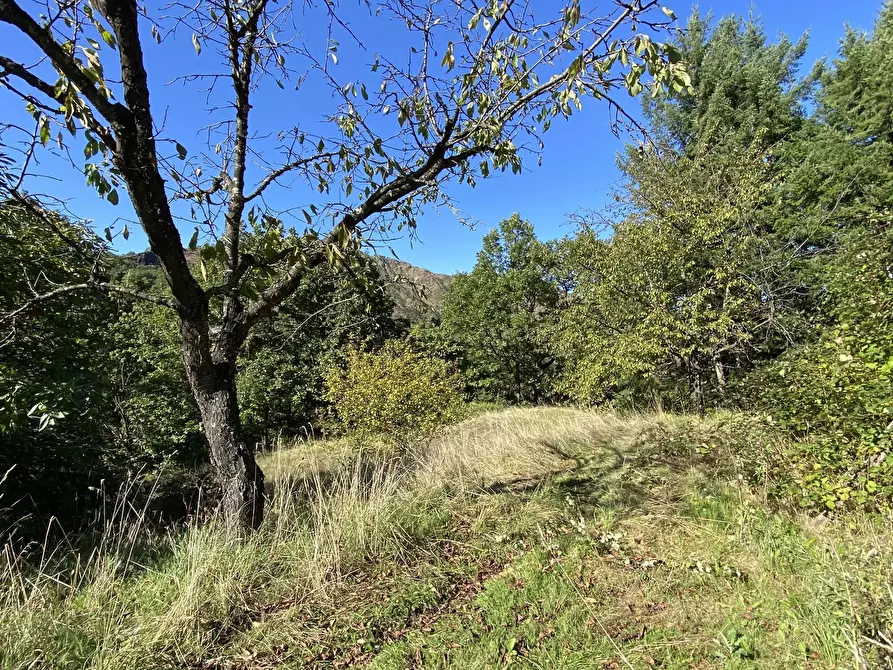 Immagine 10 di Casa indipendente in vendita  in Località Chiapuzzo 8 a Sassello