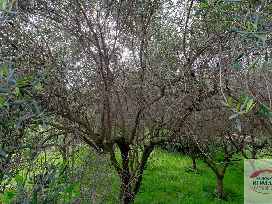 Immagine 25 di Rustico / casale in vendita  in Via Monte Guano 19 a Genova