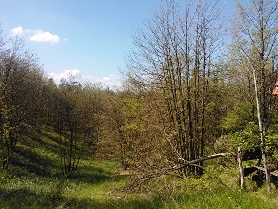 Immagine 13 di Rustico / casale in vendita  a Giusvalla