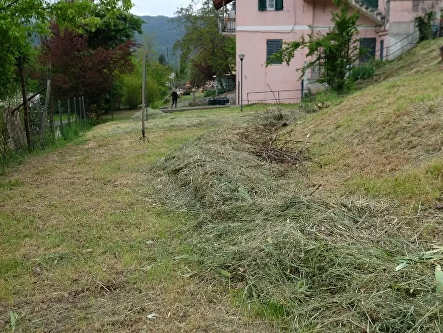 Immagine 11 di Appartamento in vendita  a Tiglieto