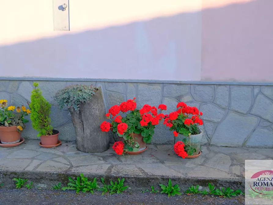 Immagine 11 di Rustico / casale in vendita  a Pareto