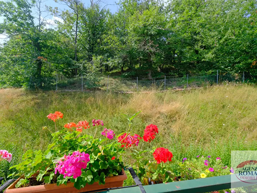 Immagine 23 di Appartamento in vendita  a Urbe