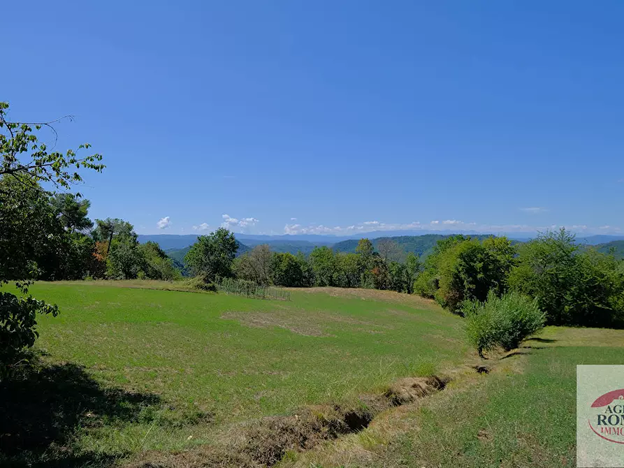 Immagine 9 di Rustico / casale in vendita  in regione Pianlago 110 a Ponzone