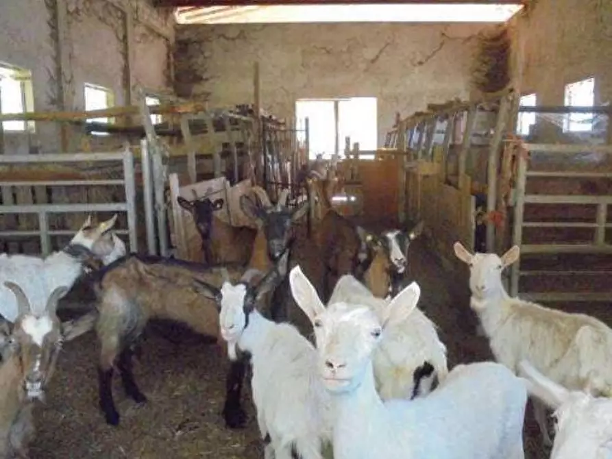 Immagine 6 di Capannone industriale in vendita  in Via Madonna delle Vigne snc a Genova