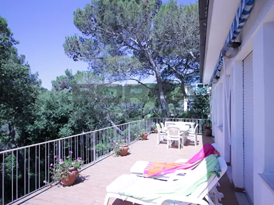 Immagine 18 di Terratetto in vendita  in Via Kaiser Parodi a Livorno