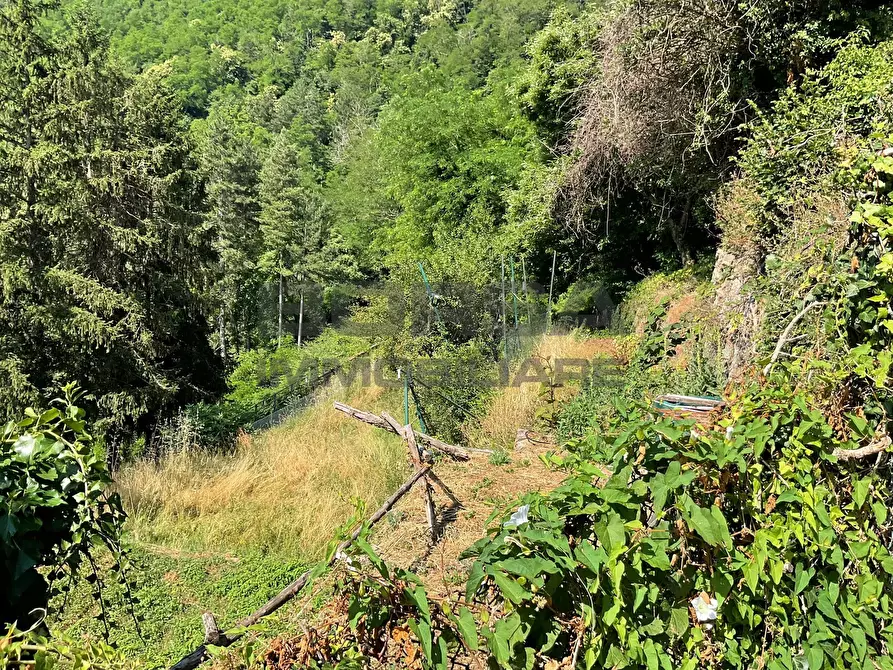 Immagine 5 di Rustico / casale in vendita  in via case geri e selvapiana a Pistoia