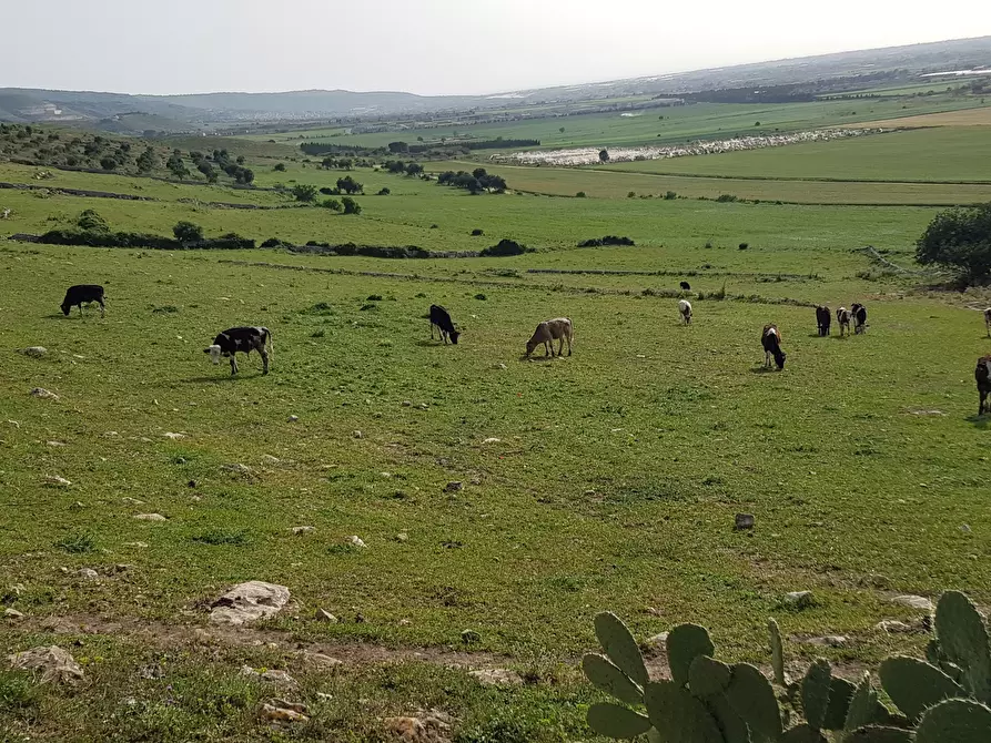 Immagine 7 di Rustico / casale in vendita  a Ragusa