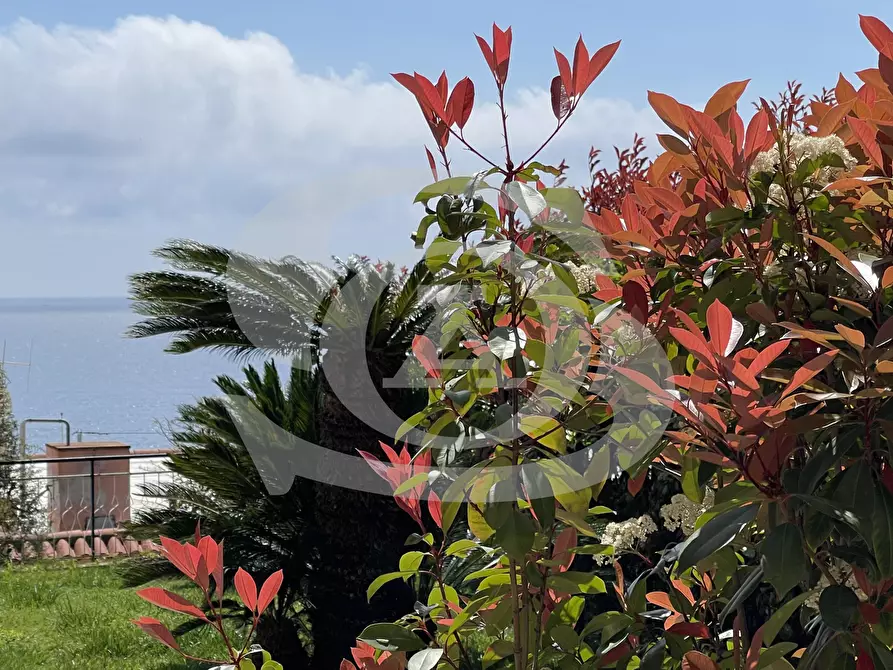 Immagine 25 di Trilocale in vendita  in Via degli Ulivi 5 a Ospedaletti