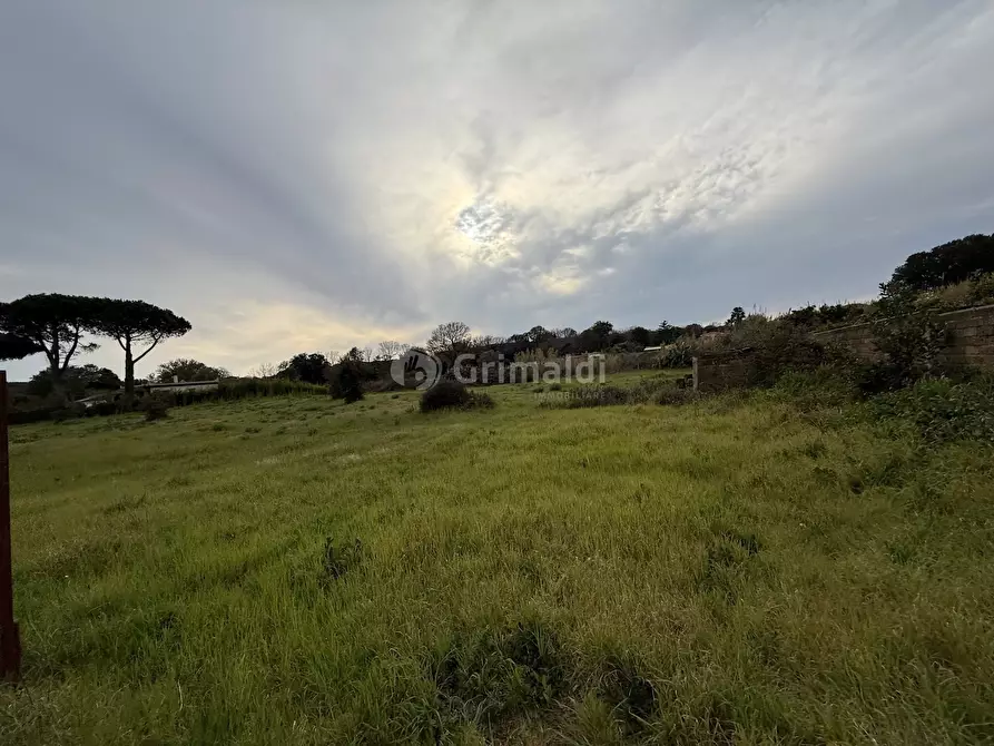Immagine 4 di Terreno edificabile in vendita  in VIA CENTOCELLE 1 a Anzio