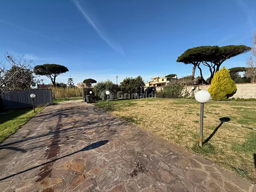 Immagine 5 di Casa bifamiliare in affitto  in Via Tagliamento 18 a Nettuno