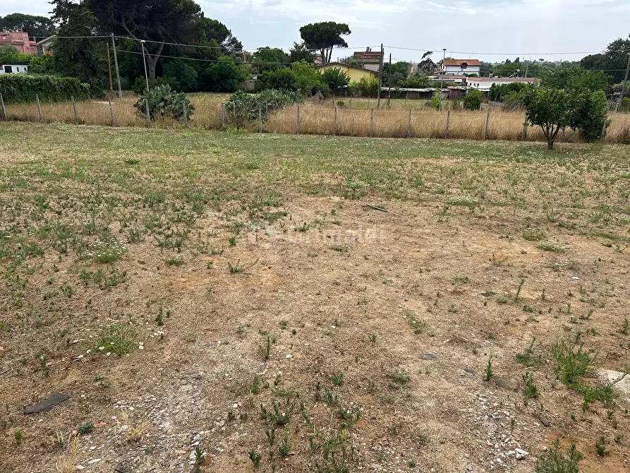 Immagine 5 di Terreno edificabile in vendita  in Via Sutri 4 a Nettuno