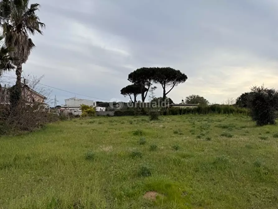 Immagine 17 di Terreno edificabile in vendita  in VIA CENTOCELLE 1 a Anzio
