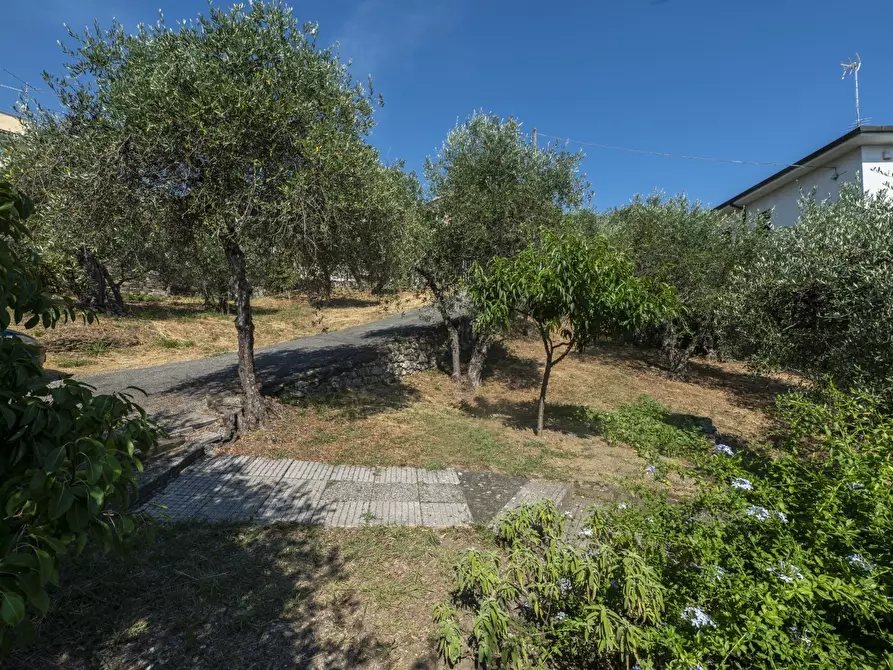 Immagine 25 di Casa indipendente in vendita  in Via Tedisio 133 a Lavagna