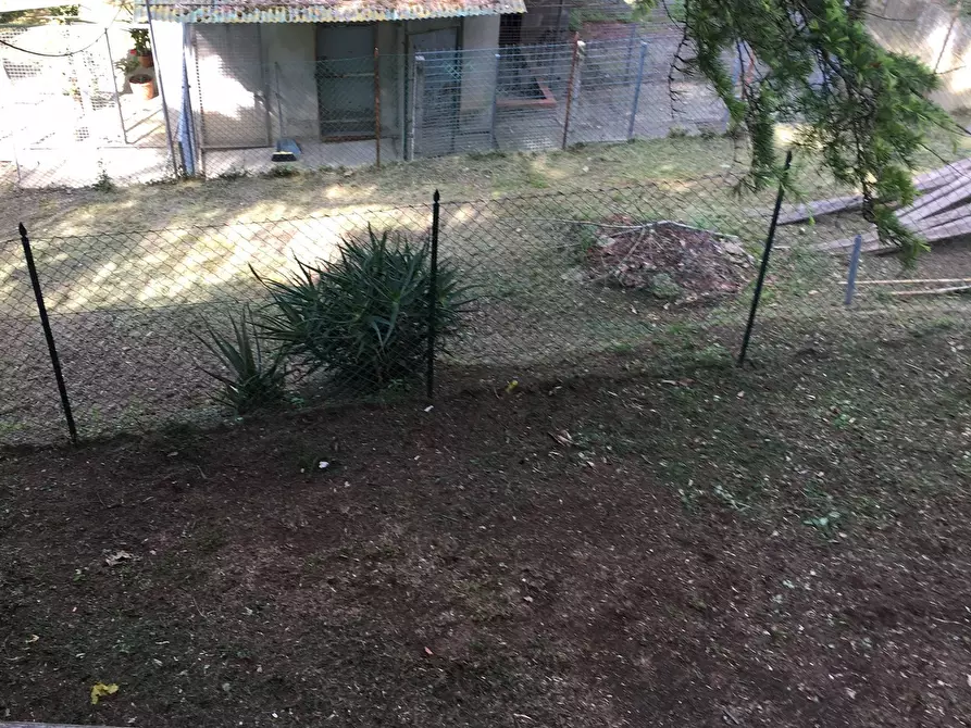 Immagine 14 di Rustico / casale in vendita  a Pisa