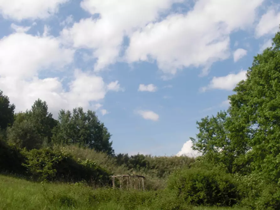 Immagine 2 di Terreno agricolo in vendita  a Casciana Terme Lari