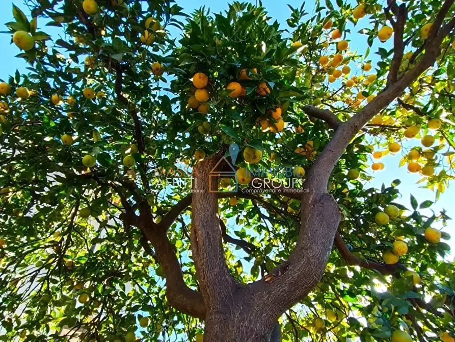 Immagine 11 di Terratetto in vendita  in Vicolo Castellaro 4 a Massa