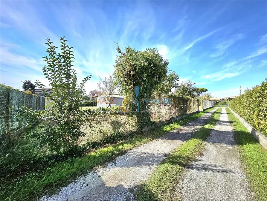 Immagine 1 di Terreno agricolo in vendita  in Via Venezia 70 a Massa