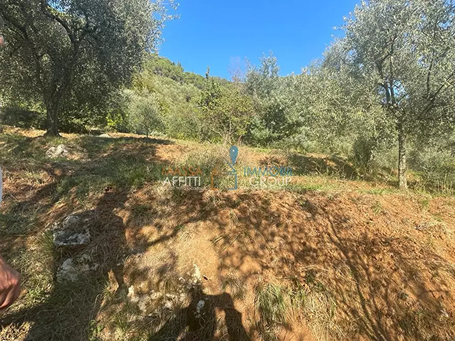 Immagine 48 di Casa indipendente in vendita  in Via San Vitale 7 a Massa