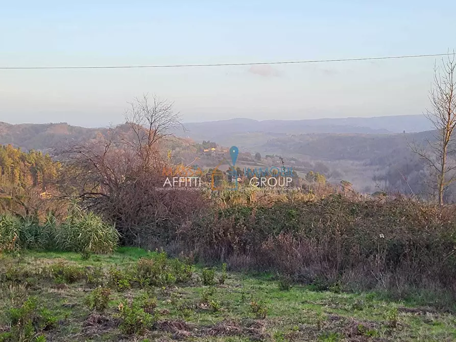 Immagine 9 di Terreno agricolo in vendita  in Via Carbonaia a Palaia