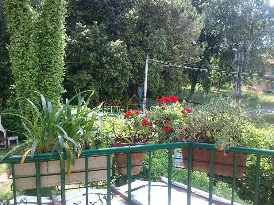 Immagine 13 di Porzione di casa in vendita  in Via dei Mignani 17 a Massa