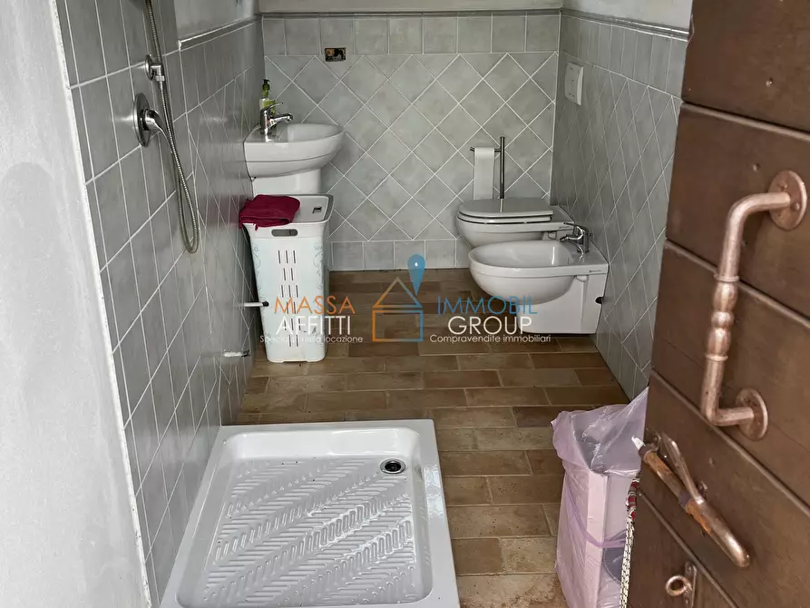 Immagine 6 di Terreno agricolo in vendita  in Via Nespolo 43 a Montignoso