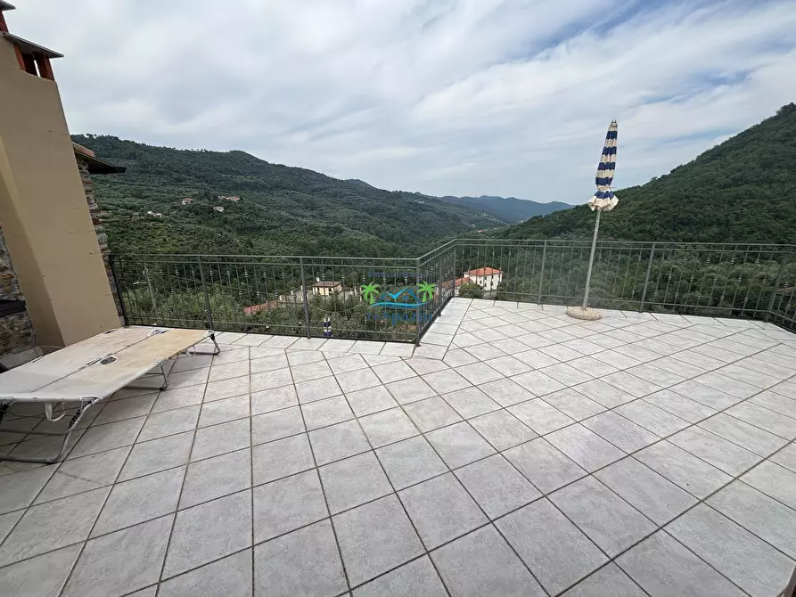 Immagine 32 di Rustico / casale in vendita  in Località Ciantà a Stellanello