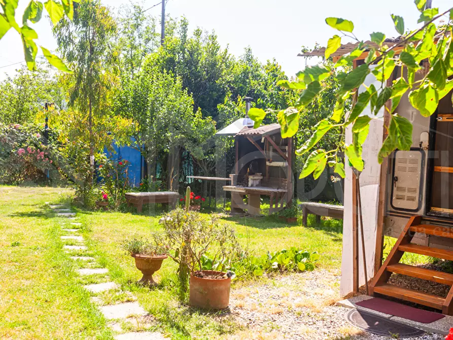 Immagine 6 di Terreno agricolo in vendita  in Via dell'Uliveta a Livorno