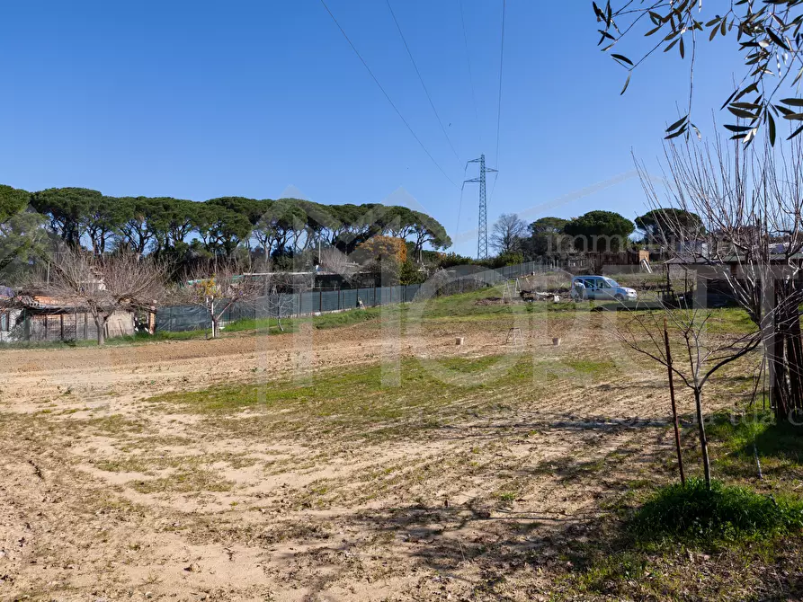Immagine 13 di Terreno agricolo in vendita  in Via delle Sorgenti a Livorno