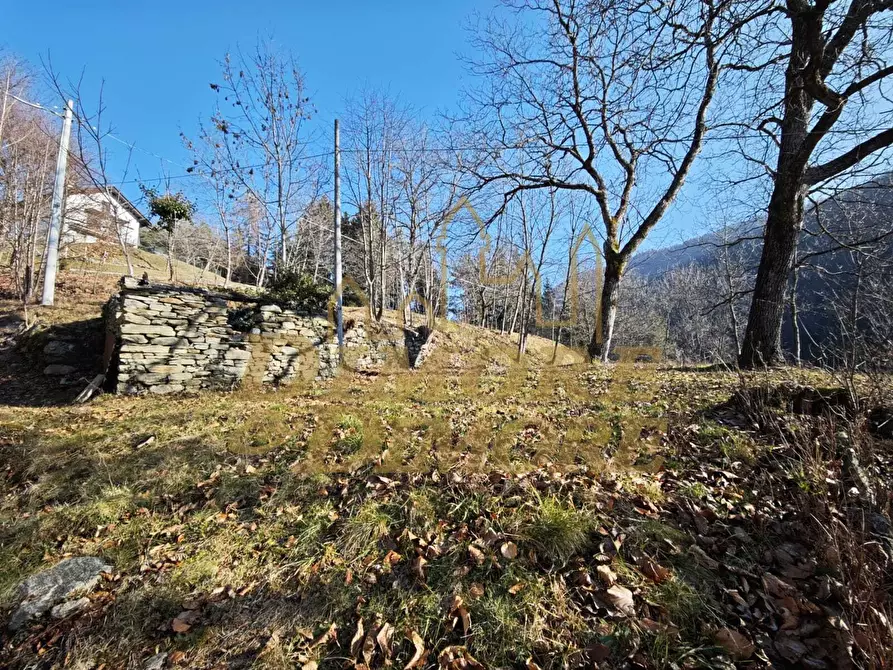 Immagine 3 di Rustico / casale in vendita  in Via Colonnello Giuseppe Garbagni 92 a Craveggia