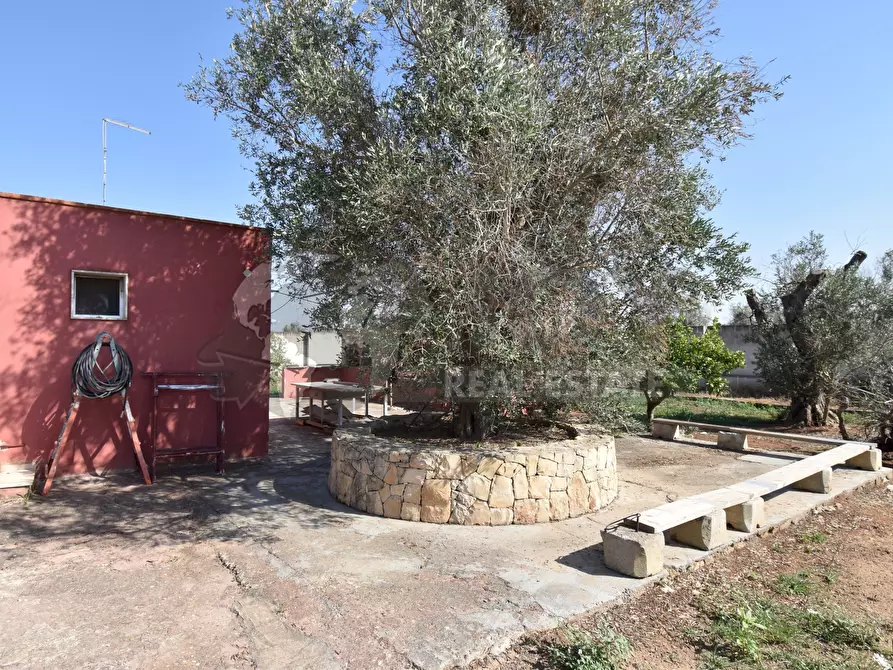 Immagine 30 di Casa indipendente in vendita  in Via Bernardino Desa 14 a Copertino