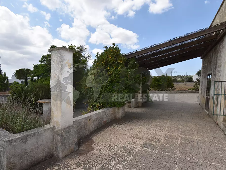 Immagine 32 di Villa in vendita  in Via Carlo Donat Cattin 63 a Specchia