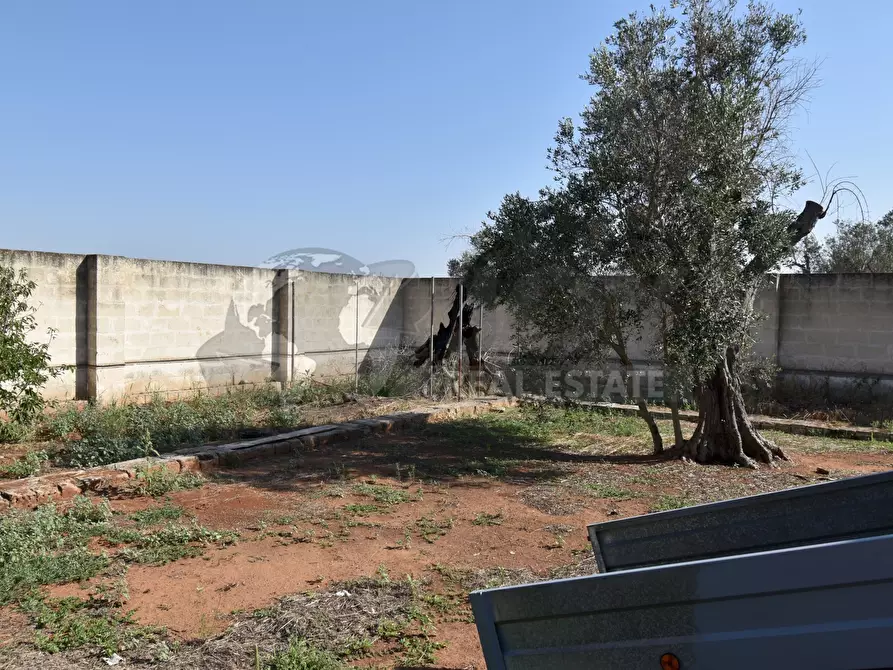 Immagine 21 di Casa indipendente in vendita  in Via Bernardino Desa 14 a Copertino