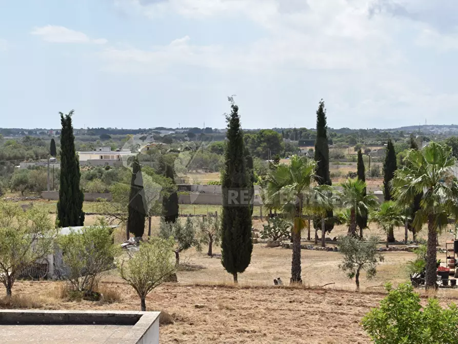 Immagine 13 di Terreno agricolo in vendita  in Via Carlo Donat Cattin 61 a Specchia