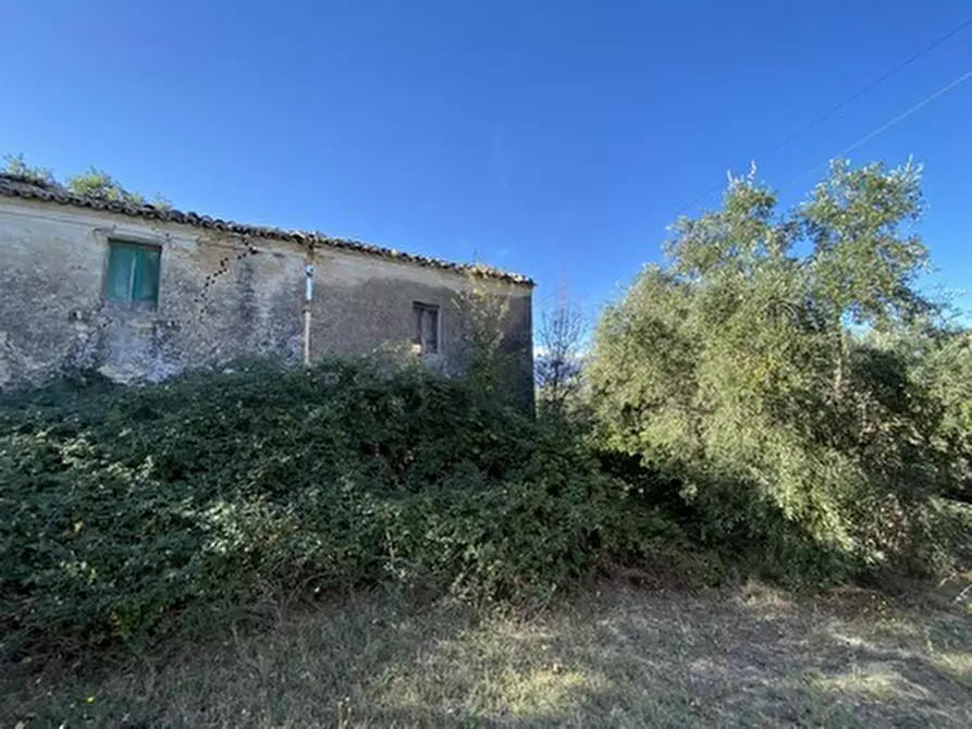 Immagine 9 di Porzione di casa in vendita  in CONTRADA PORRECHI a Castel Frentano