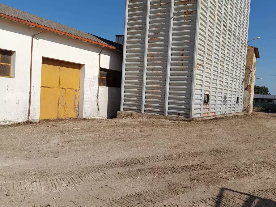 Immagine 32 di Attività artigianale in vendita  in C.DA PIANA LA BARCA a Paglieta