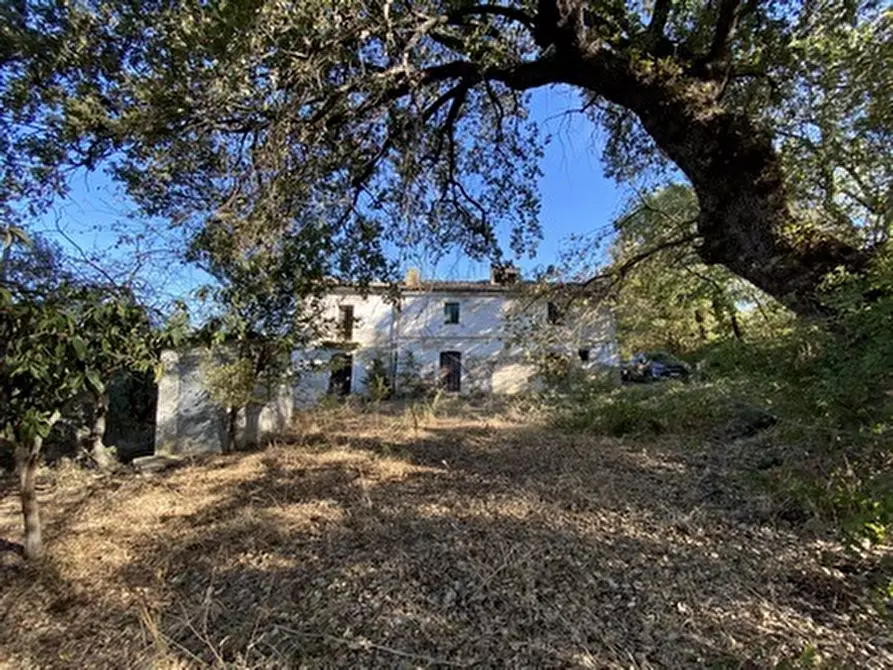 Immagine 4 di Porzione di casa in vendita  in CONTRADA PORRECHI a Castel Frentano