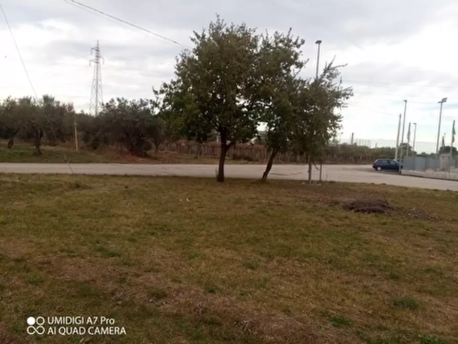 Immagine 19 di Rustico / casale in vendita  in VIA VECCHIA SCORCIOSA a Fossacesia