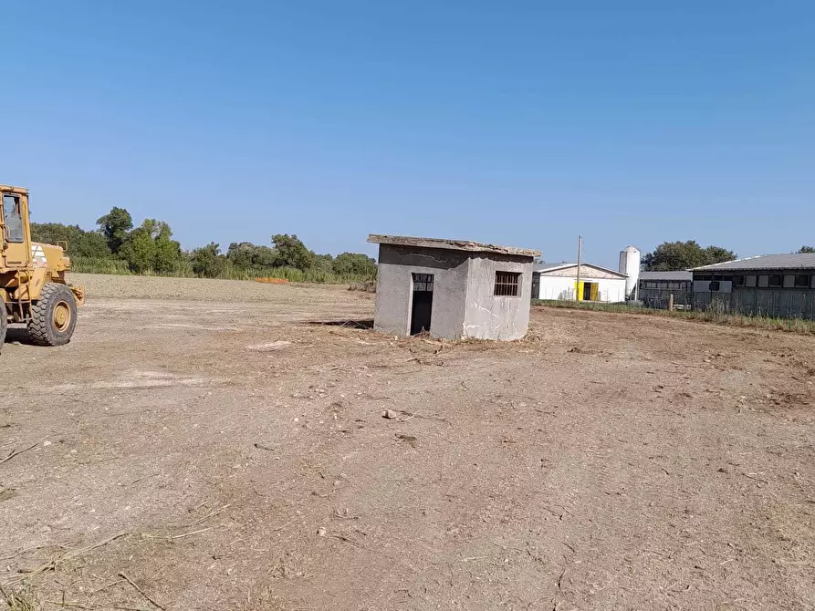 Immagine 17 di Attività artigianale in vendita  in C.DA PIANA LA BARCA a Paglieta