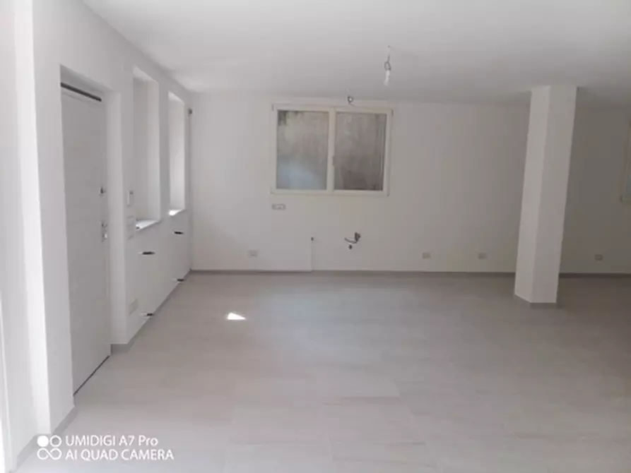 Immagine 3 di Villa in vendita  a Treglio