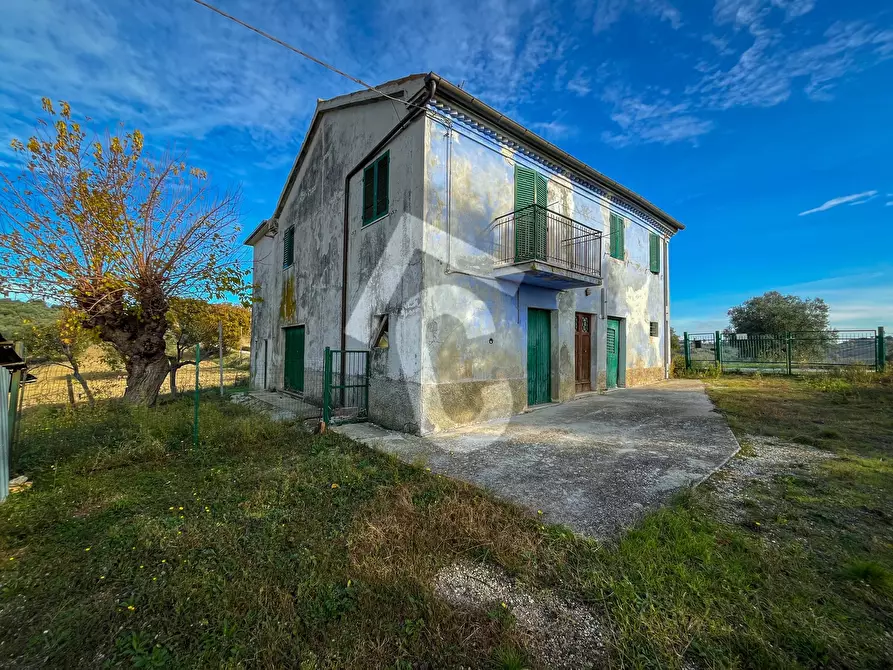 Immagine 5 di Rustico / casale in vendita  a Belvedere Ostrense