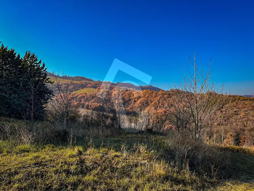 Immagine 62 di Rustico / casale in vendita  a Staffolo